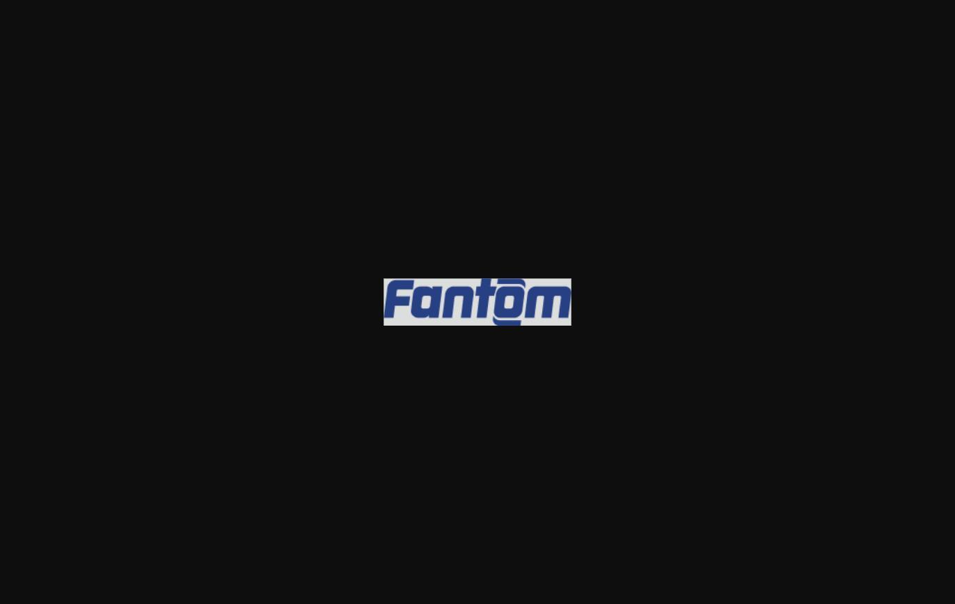 Fantom - logo